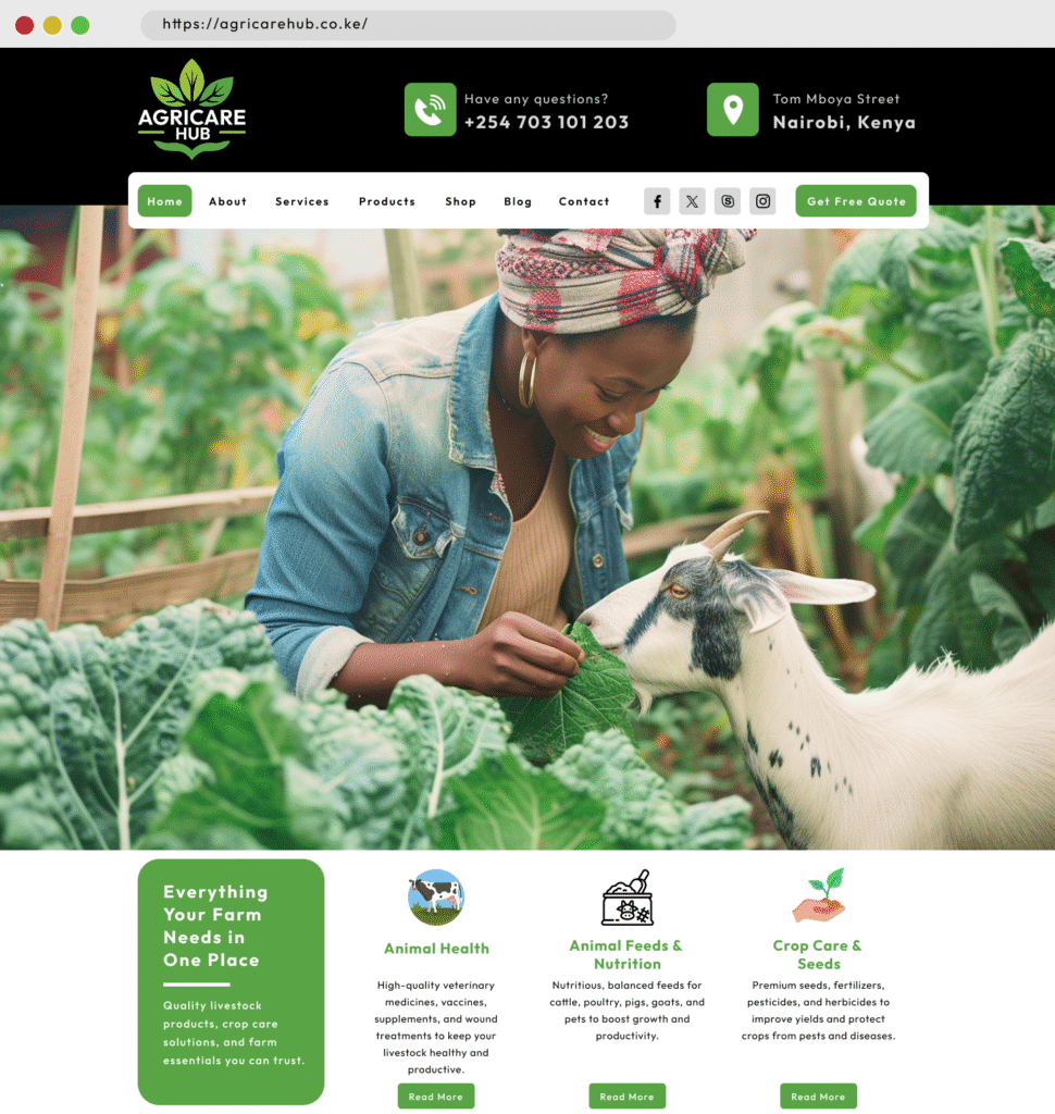 Web Design